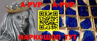 круглые Кингисепп