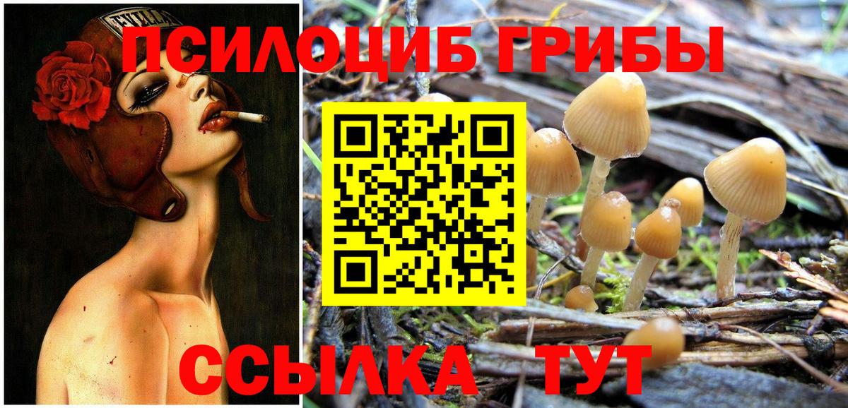купить закладку  Галлюциногенные грибы Cubensis  Кашира  Вход с VPN  Псилоцибиновые грибы мухоморы 